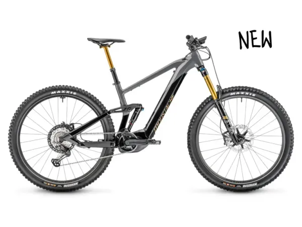 E-MTB